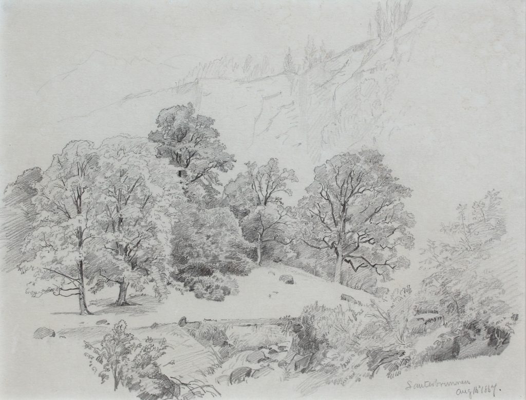 Mountain Landscape with Trees WEBUF