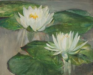 Water Lilies in White Water UF