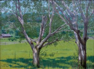 Landscape with Trees Cornish New Hampshire RGB
