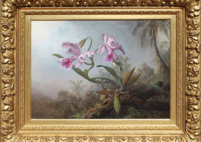 Heade Pink Orchids and Hummingbird  FRGB